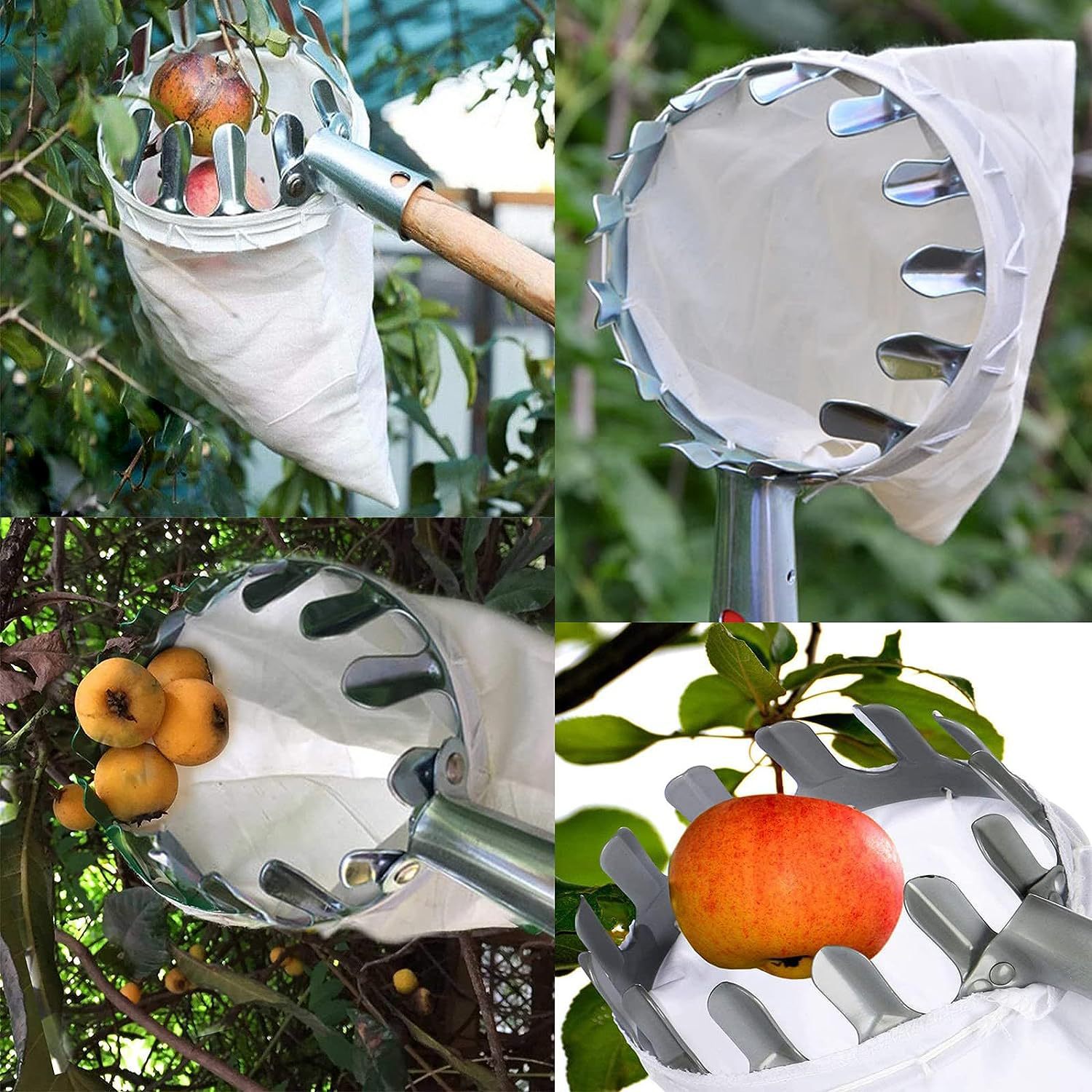 Fruit Picker Basket Telescopic Pole - Raccogli Frutta Portatile con Asta Telescopica