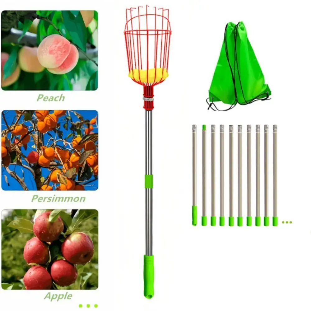 Fruit Picker Basket Telescopic Pole - Raccoglitore di Frutta con Cesto, Asta