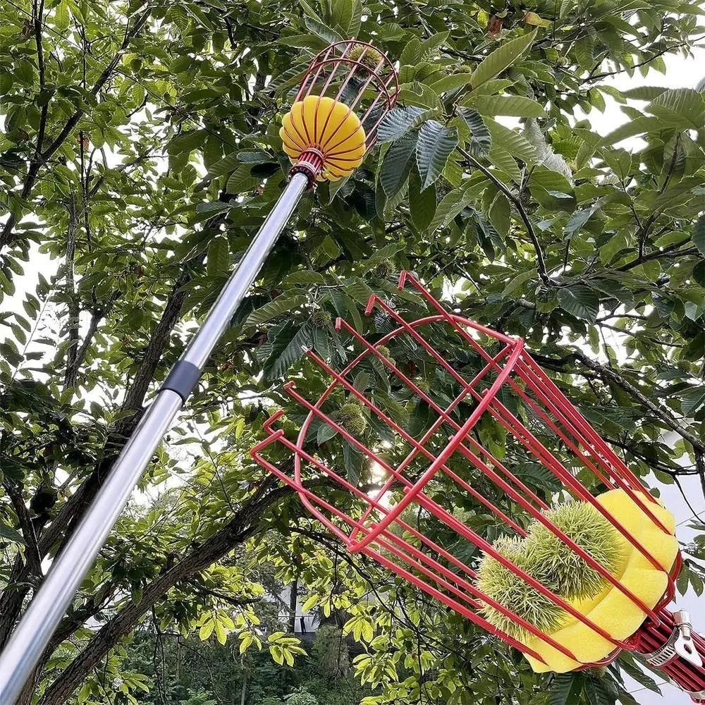 Fruit Picker Basket Telescopic Pole - Raccoglitore di frutta con cesto, asta