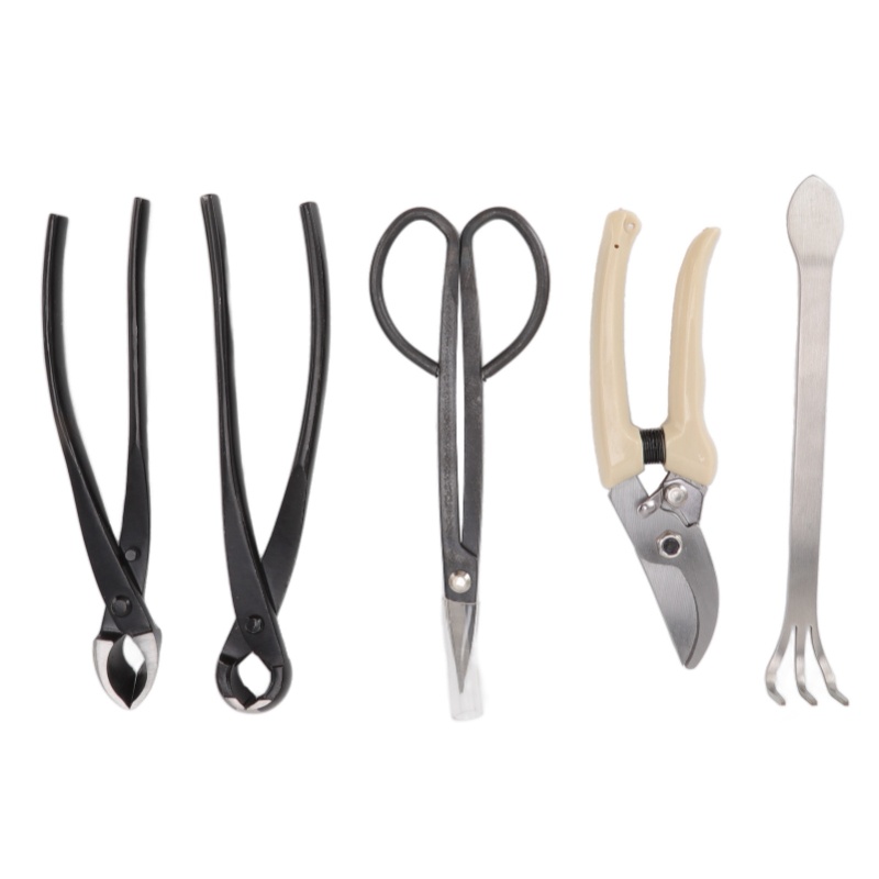 Bonsai Tool Set Stainless Carbon Steel - Set di 5 Attrezzi per Bonsai