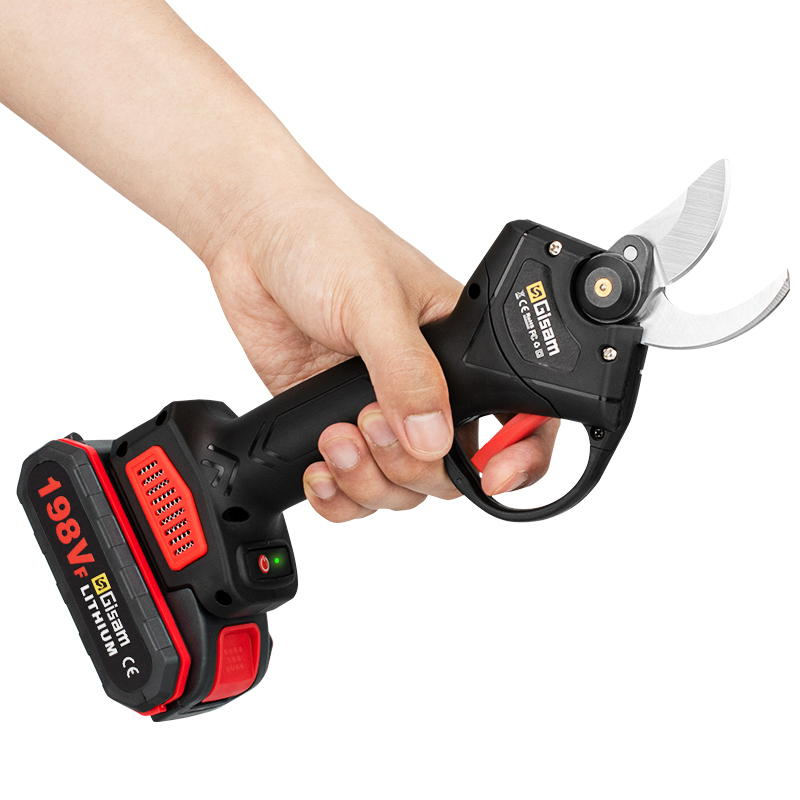 Gami 198VF 30mm Potatore elett - Cordless Electric Pruning Shears 30Mm recensione e prezzo