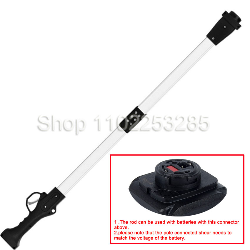 Asta di prolunga ad alto porta - Electric Pruner With Extension Pole recensione e prezzo