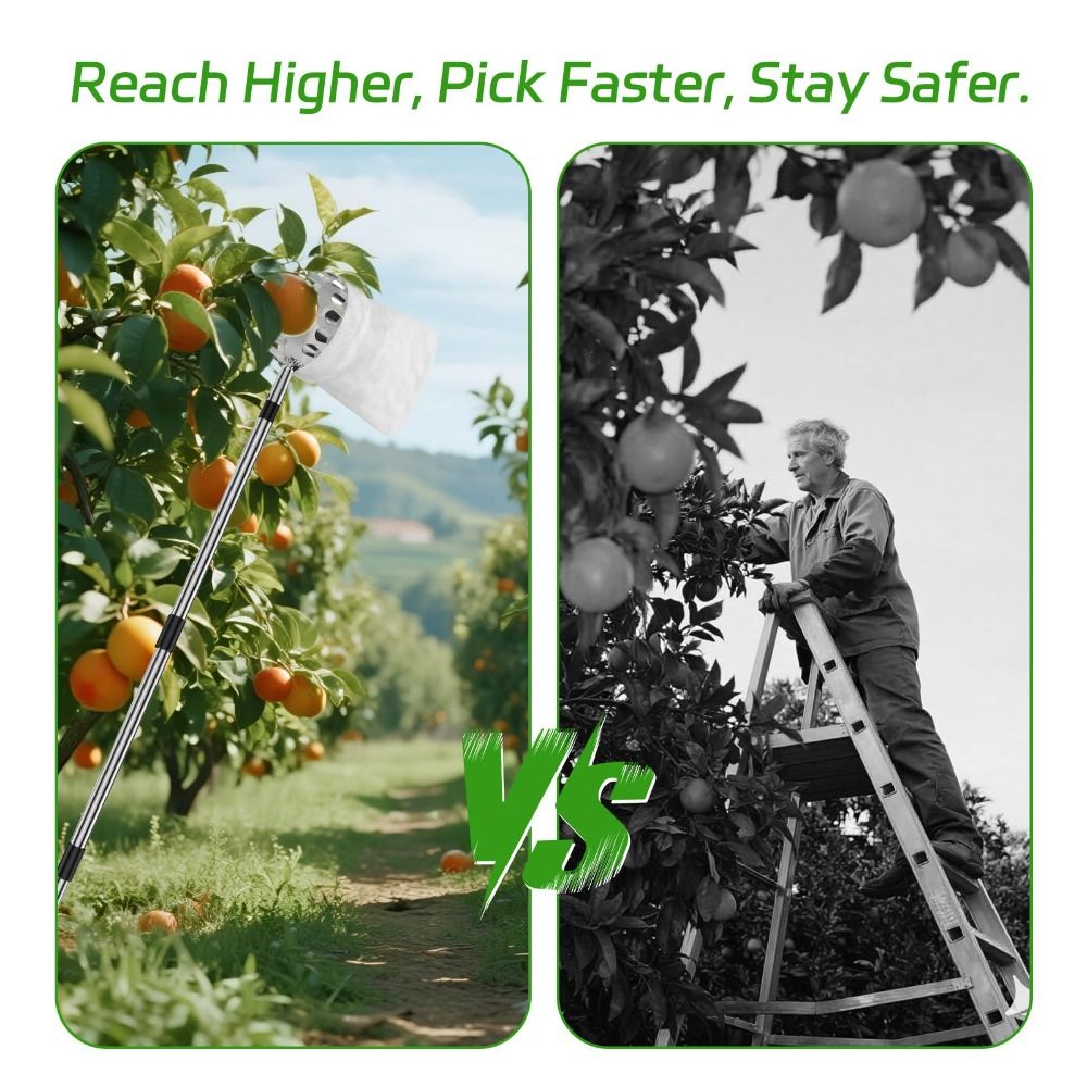 Raccoglitore di Frutta in Acci - Fruit Picker Basket Telescopic Pole recensione e prezzo