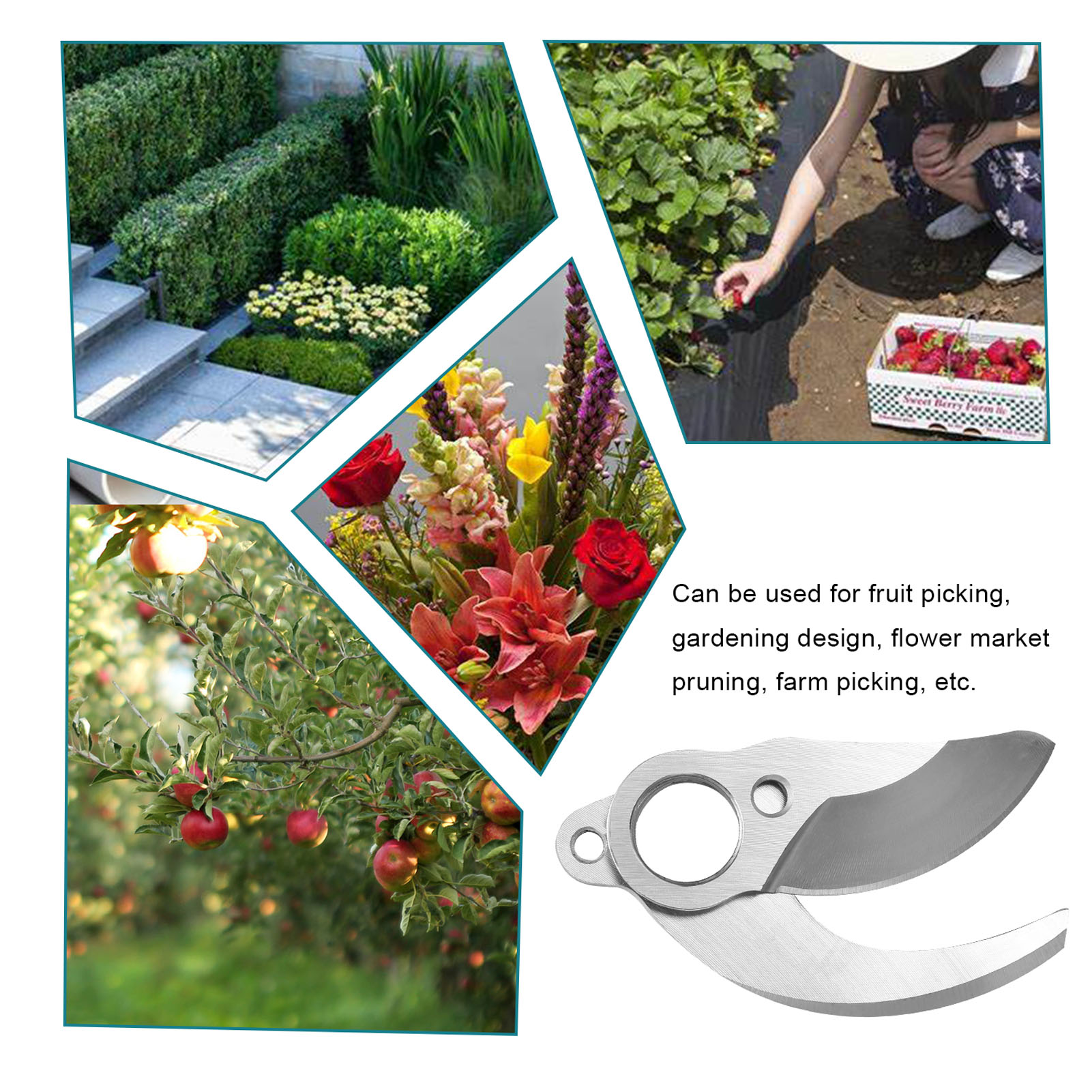 Lame per Forbici Elettriche da - Cordless Electric Pruning Shears 30Mm recensione e prezzo