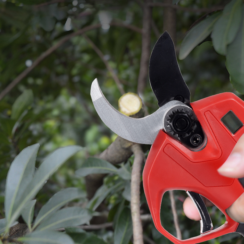 Forbici Elettriche da Giardino - Electric Pruner With Extension Pole recensione e prezzo