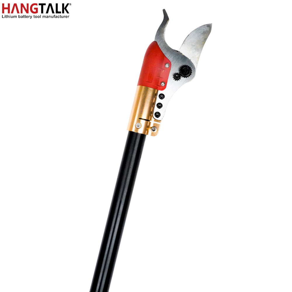 HANGTALK Cesoie elettriche pro - Electric Pruner With Extension Pole recensione e prezzo