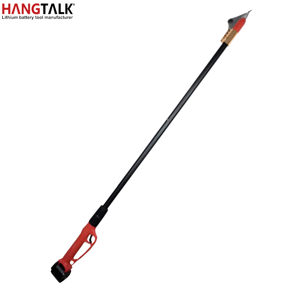 HANGTALK Cesoie elettriche pro - Electric Pruner With Extension Pole recensione e prezzo