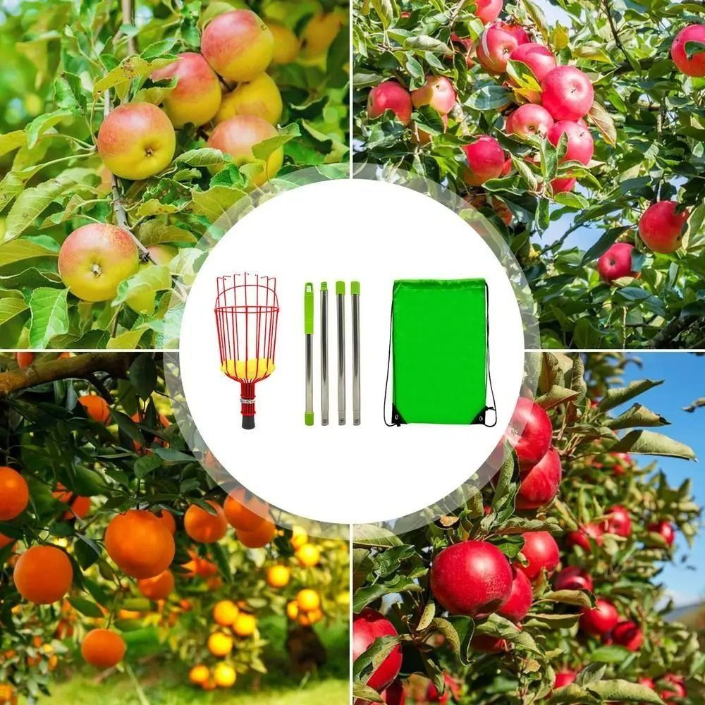 Raccoglitore di Frutta con Ces - Fruit Picker Basket Telescopic Pole recensione e prezzo