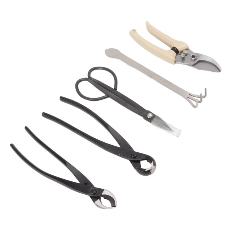 5 pezzi set di attrezzi per bo - Bonsai Tool Set Stainless Carbon Steel recensione e prezzo