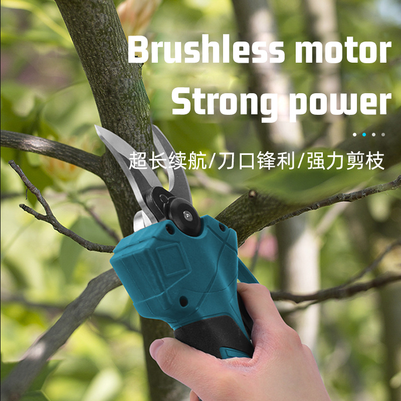 FORGEKIN Forbice Elettrica Tel - Electric Pruner With Extension Pole recensione e prezzo
