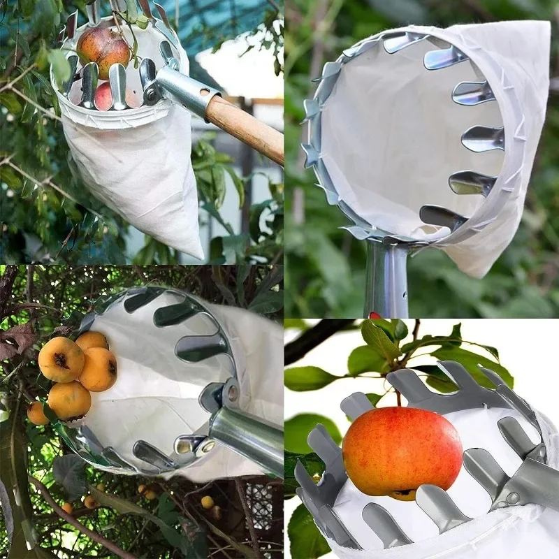 Raccoglitore di Frutta per Alt - Fruit Picker Basket Telescopic Pole recensione e prezzo