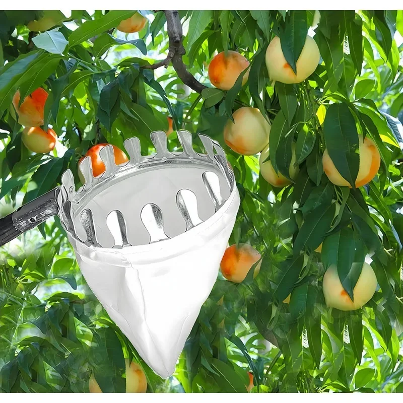 Raccoglitore di Frutta per Alt - Fruit Picker Basket Telescopic Pole recensione e prezzo