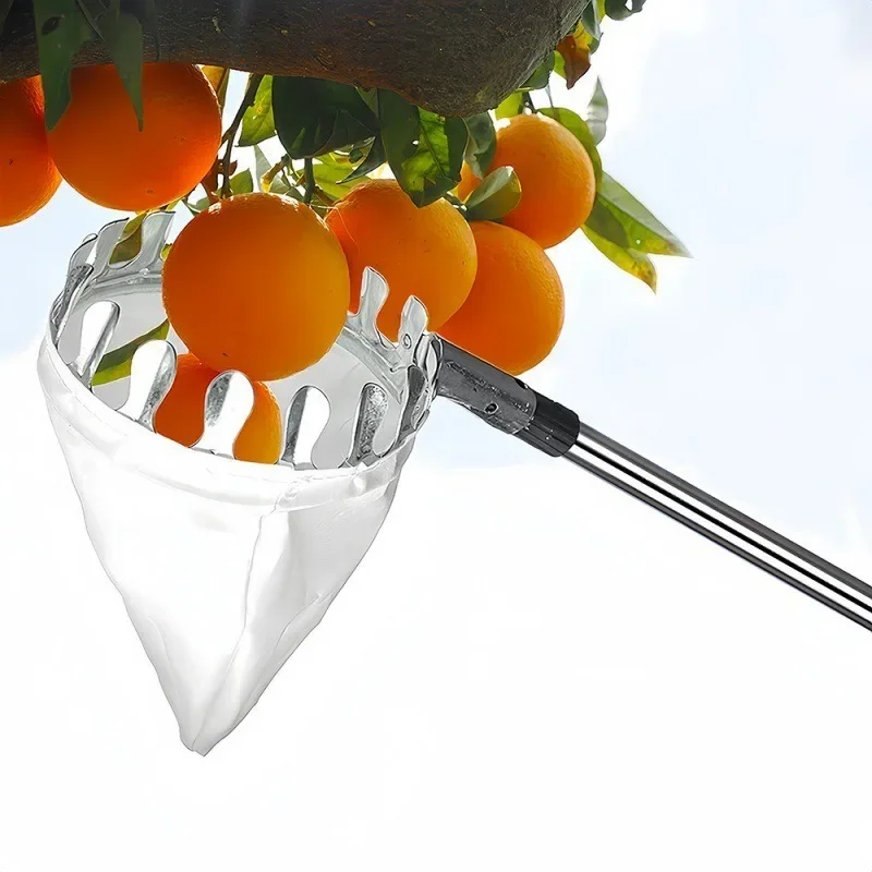 Raccoglitore di Frutta per Alt - Fruit Picker Basket Telescopic Pole recensione e prezzo