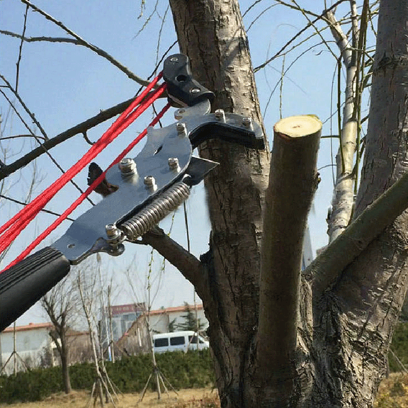 For Extentool Potatore Telesco - Electric Pruner With Extension Pole recensione e prezzo