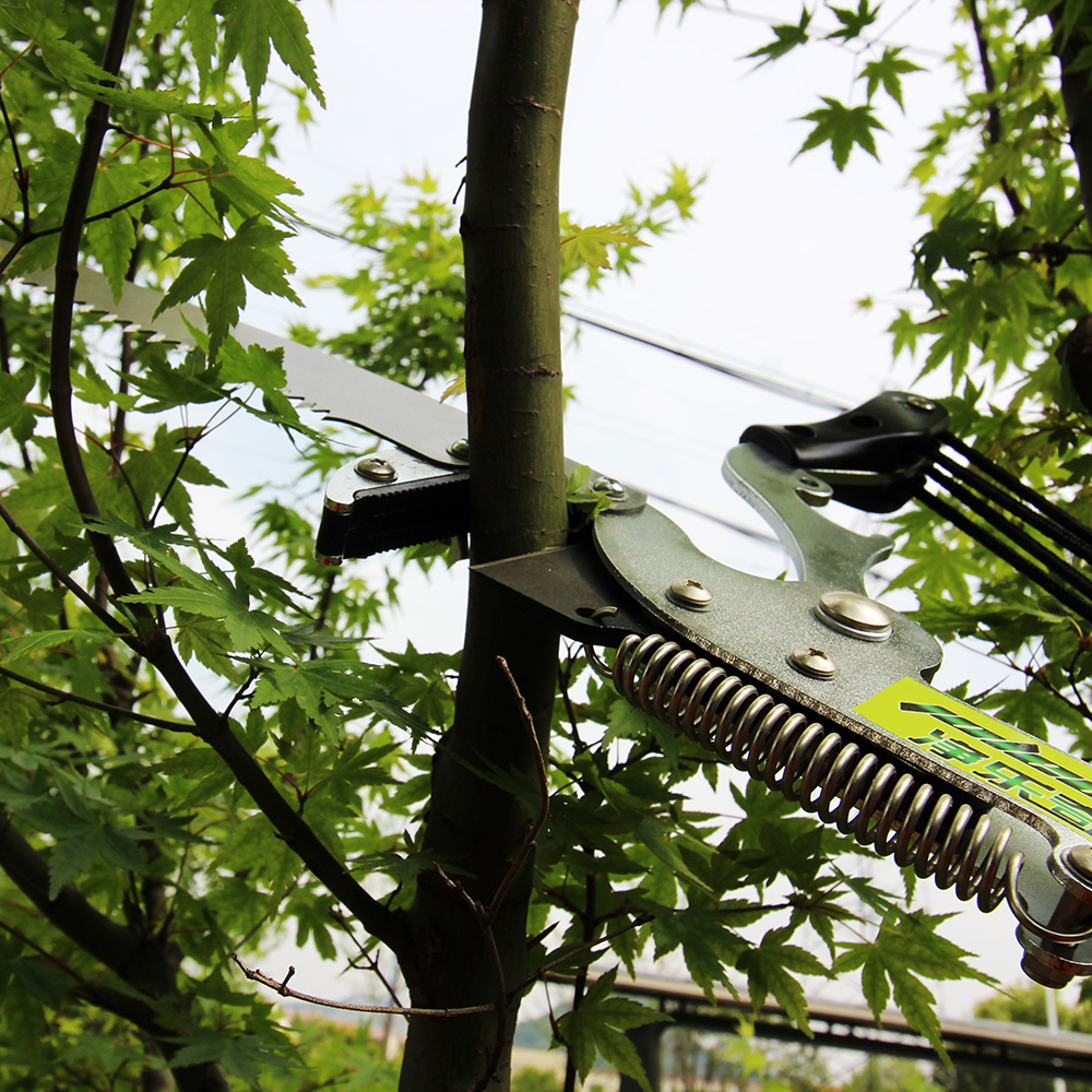 For Extentool Potatore Telesco - Electric Pruner With Extension Pole recensione e prezzo