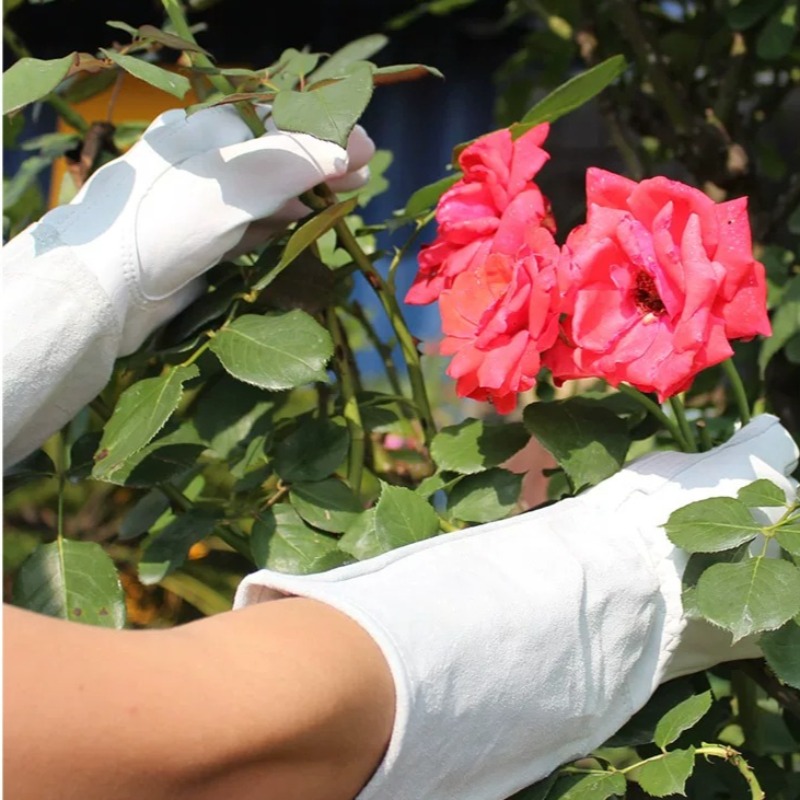 Un Paio di Guanti da Giardinag - Gardening Gloves Thorn Proof Leather recensione e prezzo