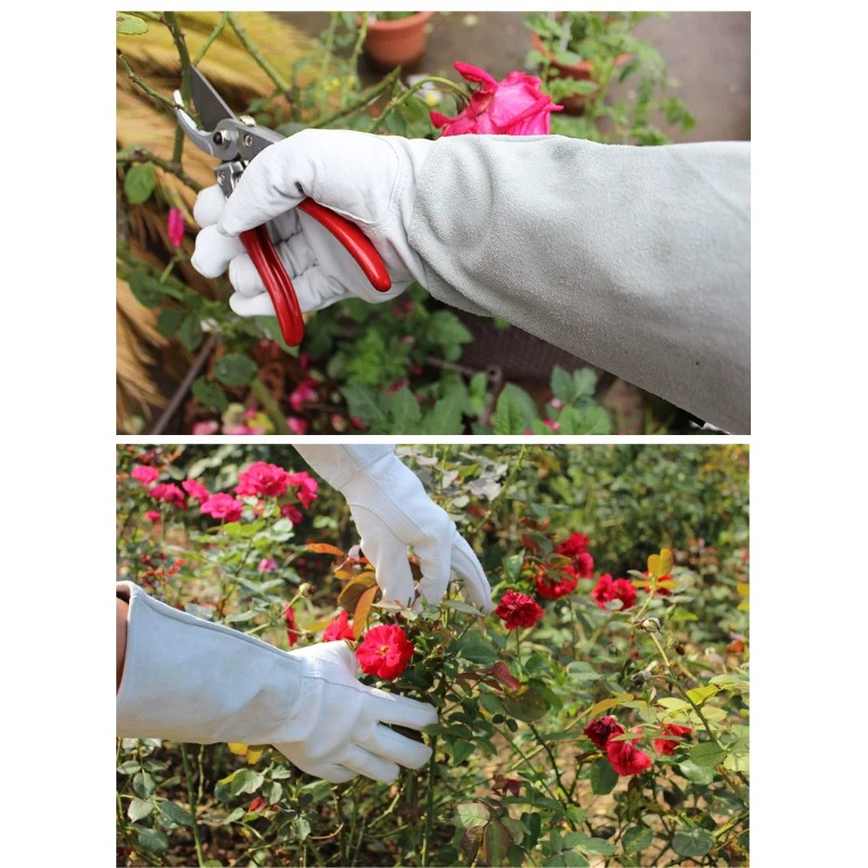 Un Paio di Guanti da Giardinag - Gardening Gloves Thorn Proof Leather recensione e prezzo