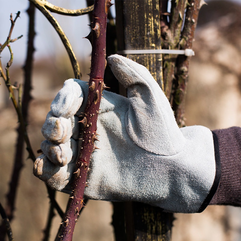 Un Paio di Guanti da Giardinag - Gardening Gloves Thorn Proof Leather recensione e prezzo