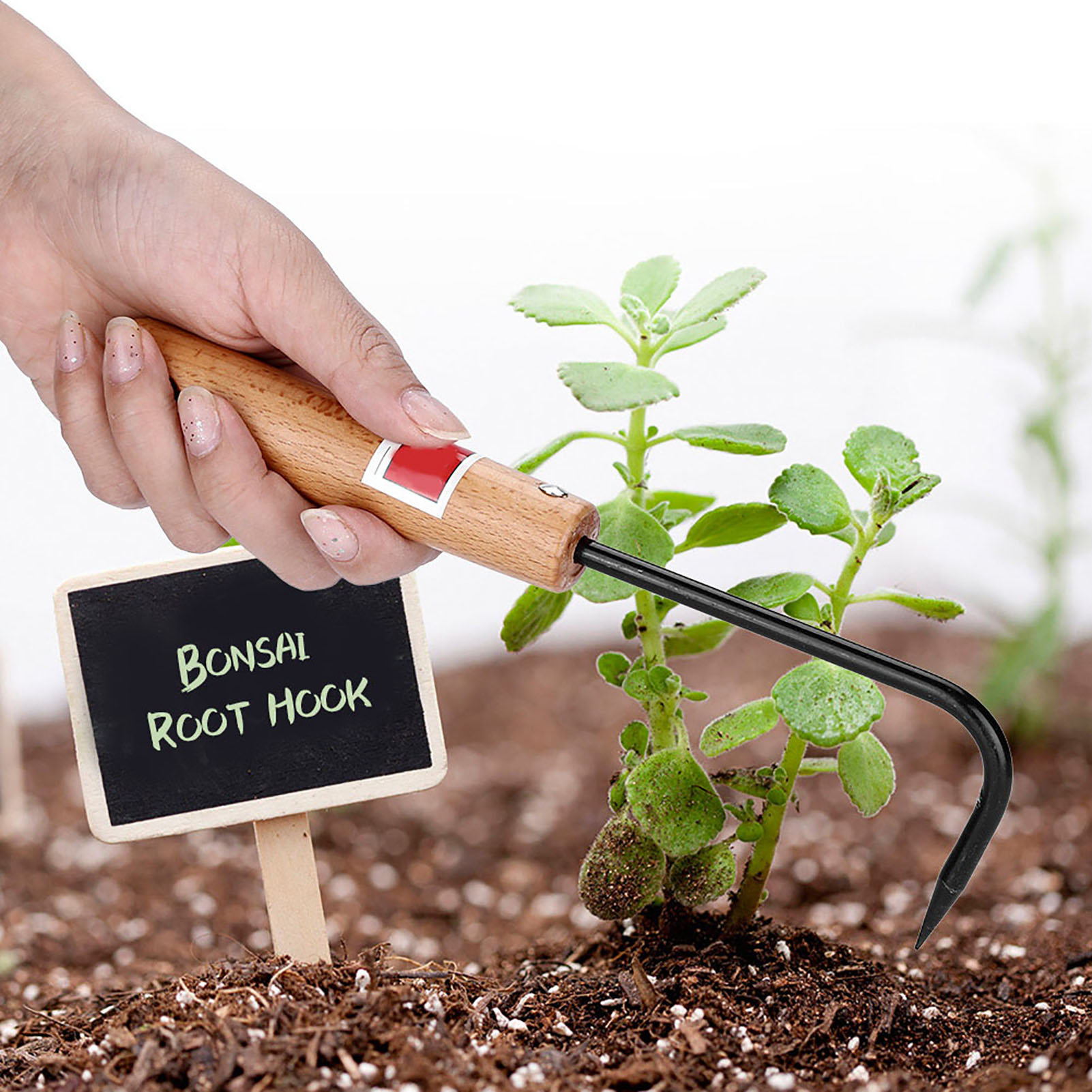 Gancio per Radici Bonsai in Fe - Root Hook Bonsai Repotting Rake recensione e prezzo