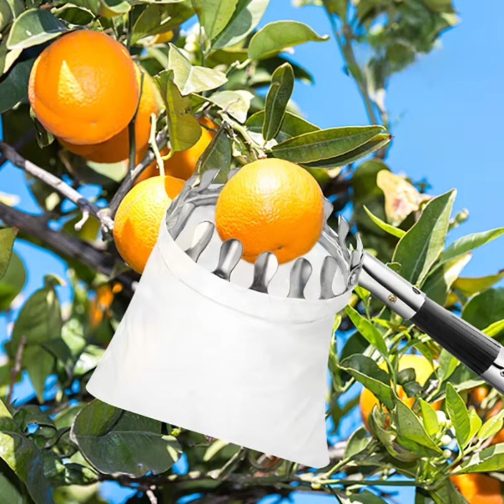 Raccoglitore di Frutta in Acci - Fruit Picker Basket Telescopic Pole recensione e prezzo