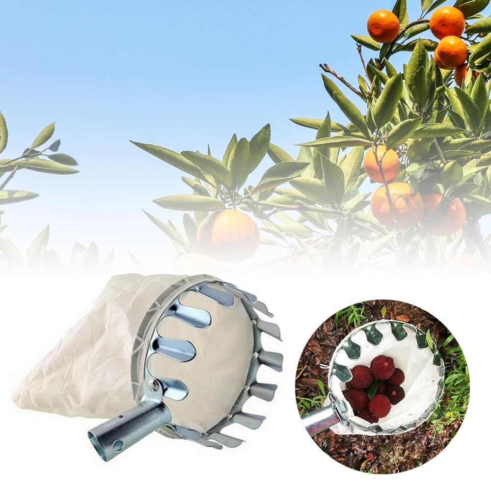 Raccoglitore di Frutta in Acci - Fruit Picker Basket Telescopic Pole recensione e prezzo