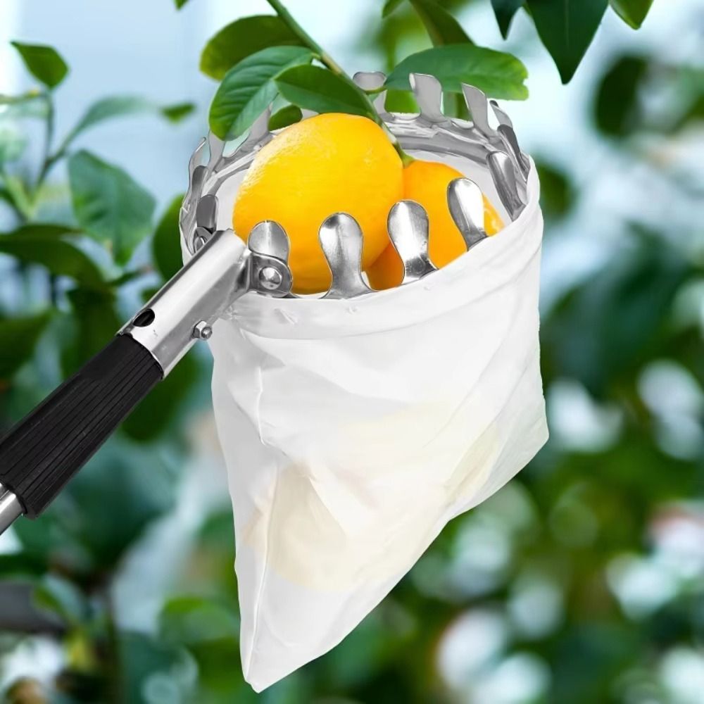 Raccoglitore di Frutta in Acci - Fruit Picker Basket Telescopic Pole recensione e prezzo