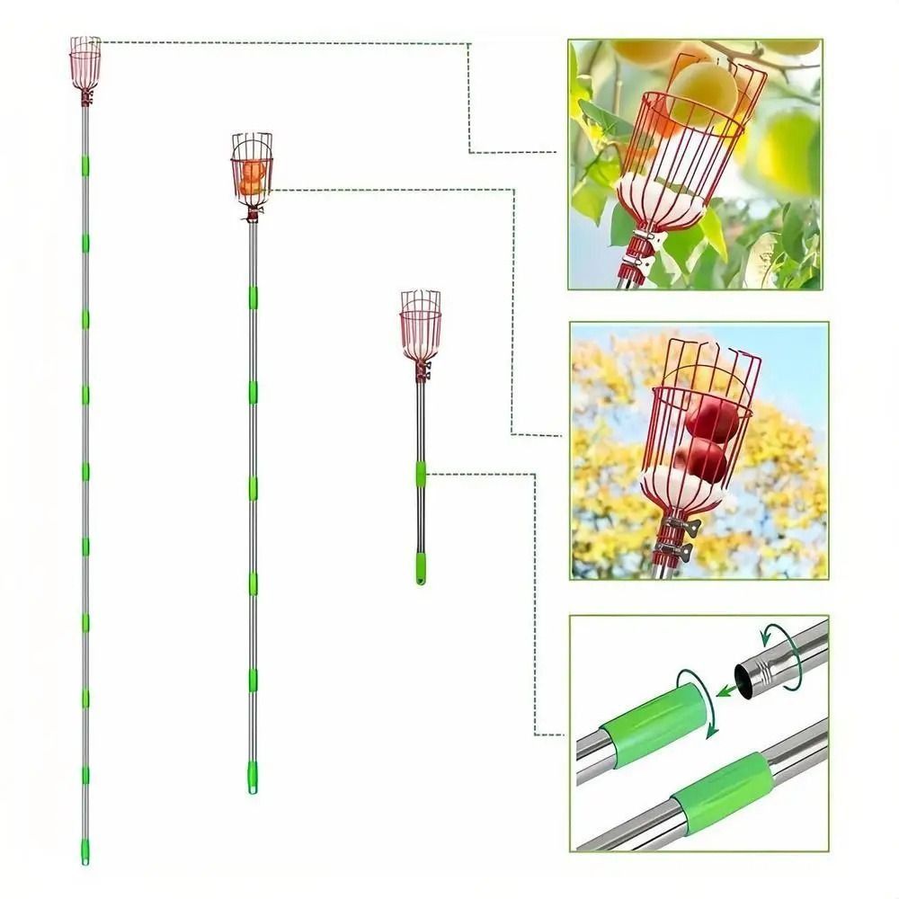 Raccoglitore di frutta con ces - Fruit Picker Basket Telescopic Pole recensione e prezzo