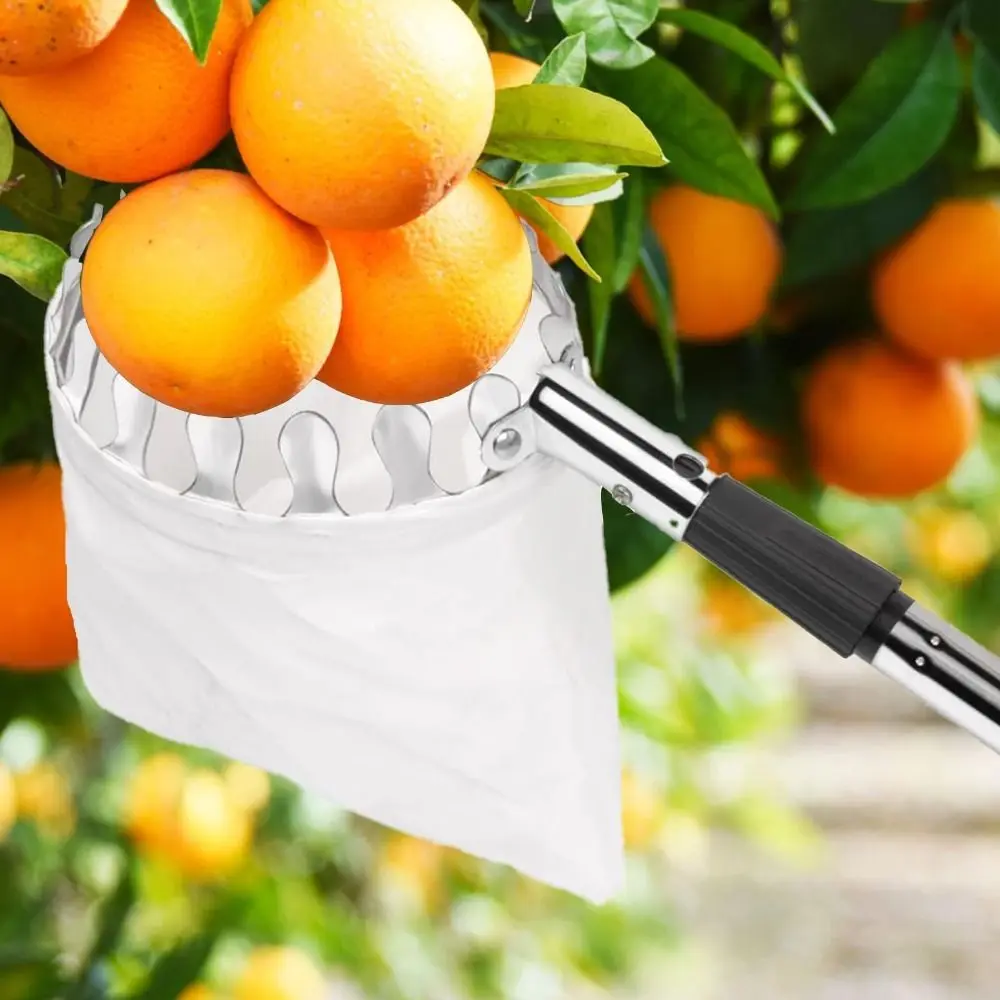 Macchina raccoglitrice di frut - Fruit Picker Basket Telescopic Pole recensione e prezzo
