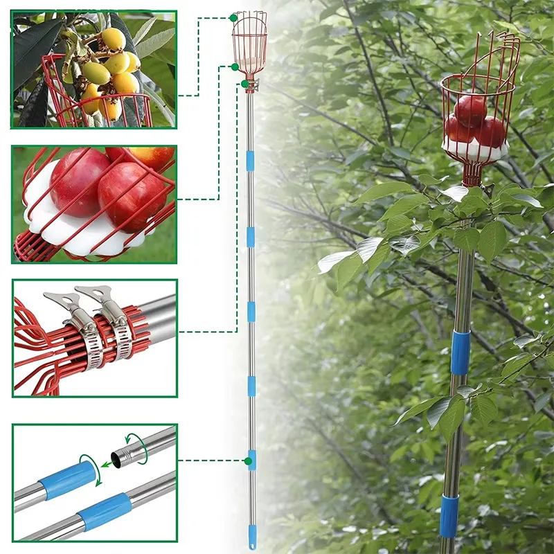Cesto Raccogli Frutta in Accia - Fruit Picker Basket Telescopic Pole recensione e prezzo