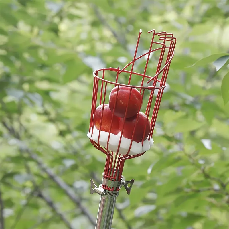 Cesto Raccogli Frutta in Accia - Fruit Picker Basket Telescopic Pole recensione e prezzo