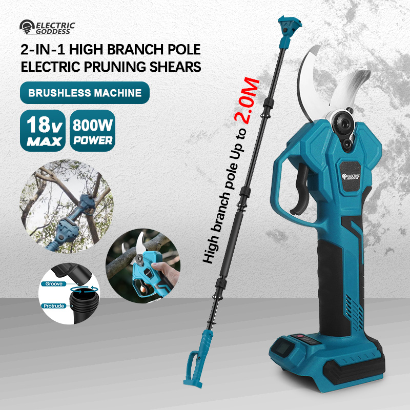 Dea elettrica per potatrice a  - Electric Pruner With Extension Pole recensione e prezzo