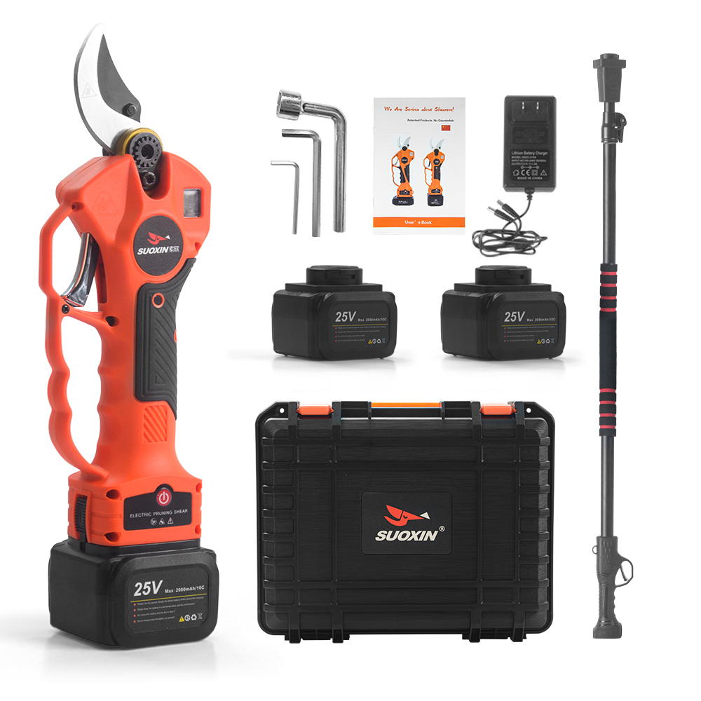 Cesoie elettriche da potatura  - Electric Pruner With Extension Pole recensione e prezzo