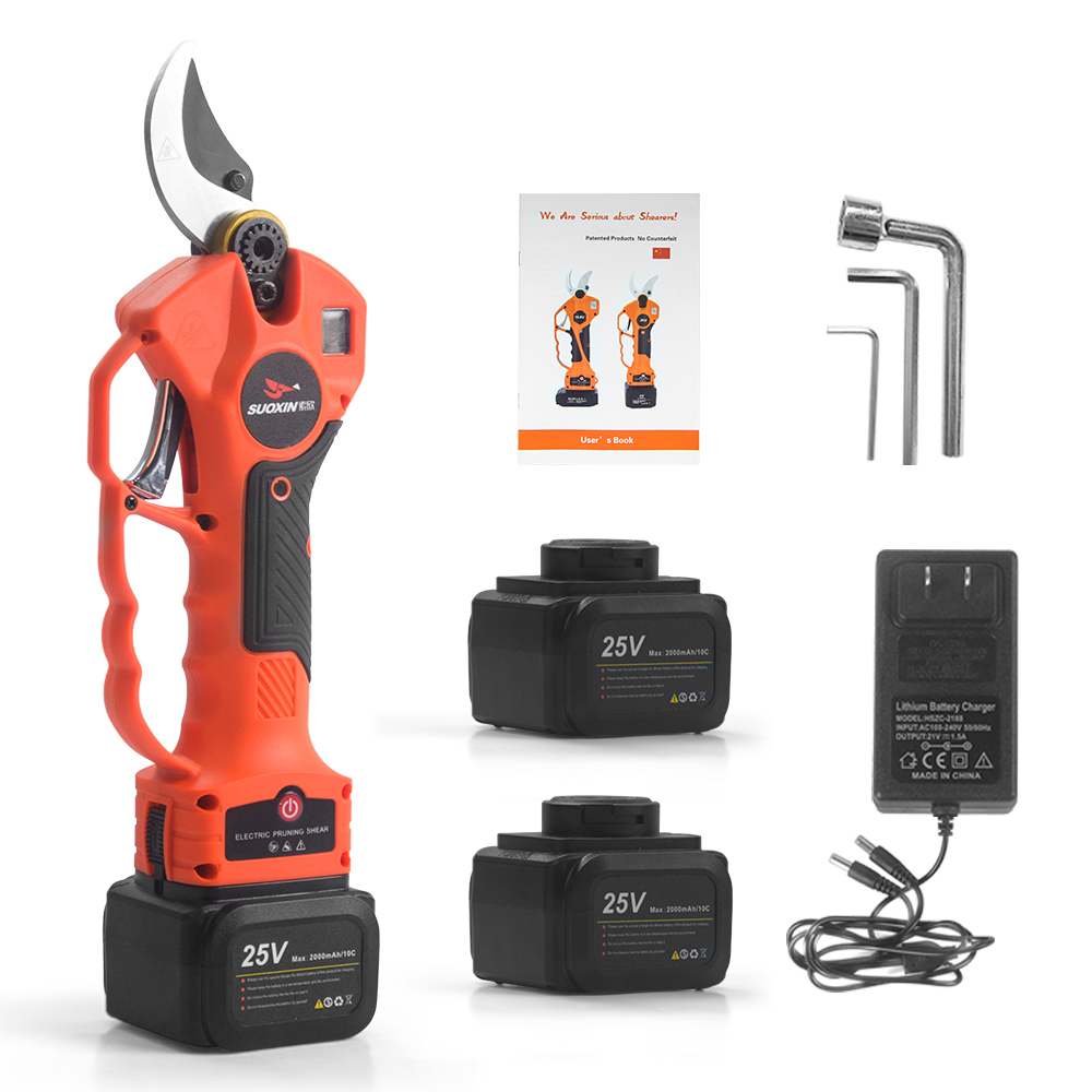 Cesoie elettriche da potatura  - Electric Pruner With Extension Pole recensione e prezzo