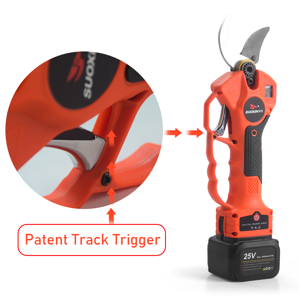Cesoie elettriche da potatura  - Electric Pruner With Extension Pole recensione e prezzo