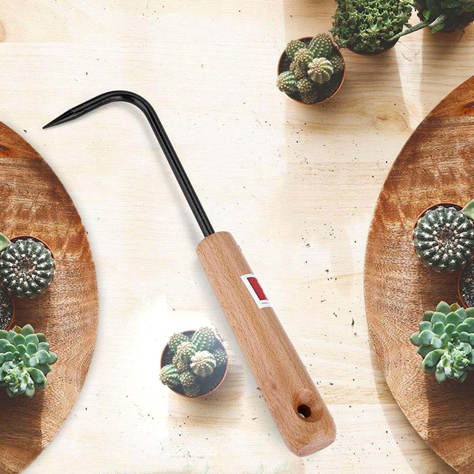 Rastrello per Radici, Strument - Root Hook Bonsai Repotting Rake recensione e prezzo