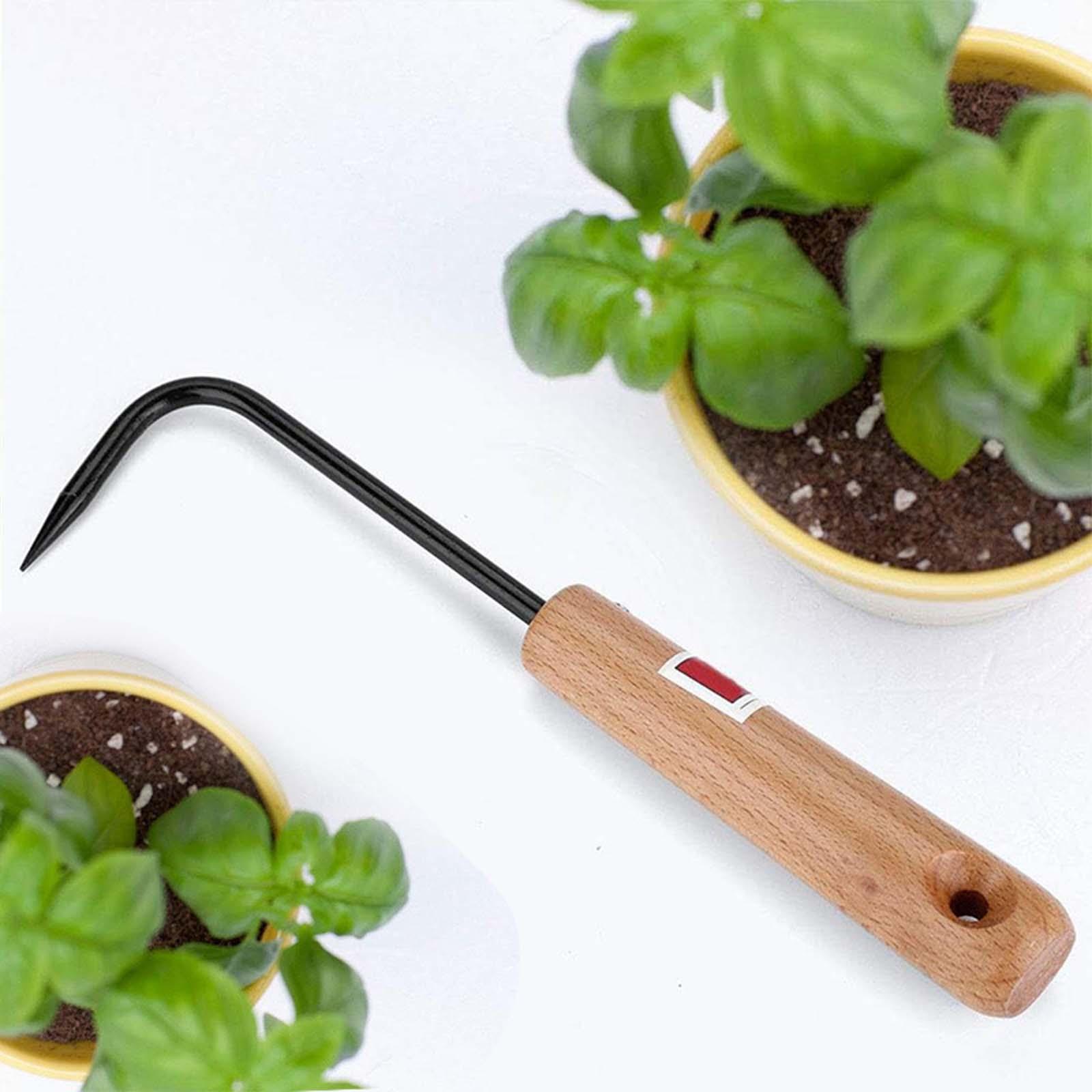 Rastrello per Radici, Strument - Root Hook Bonsai Repotting Rake recensione e prezzo