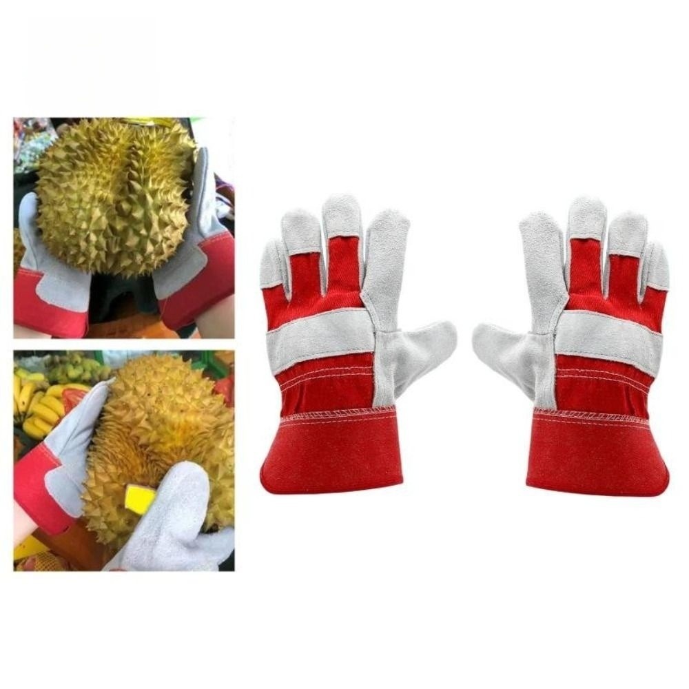 Guanti da Giardinaggio in Pell - Gardening Gloves Thorn Proof Leather recensione e prezzo