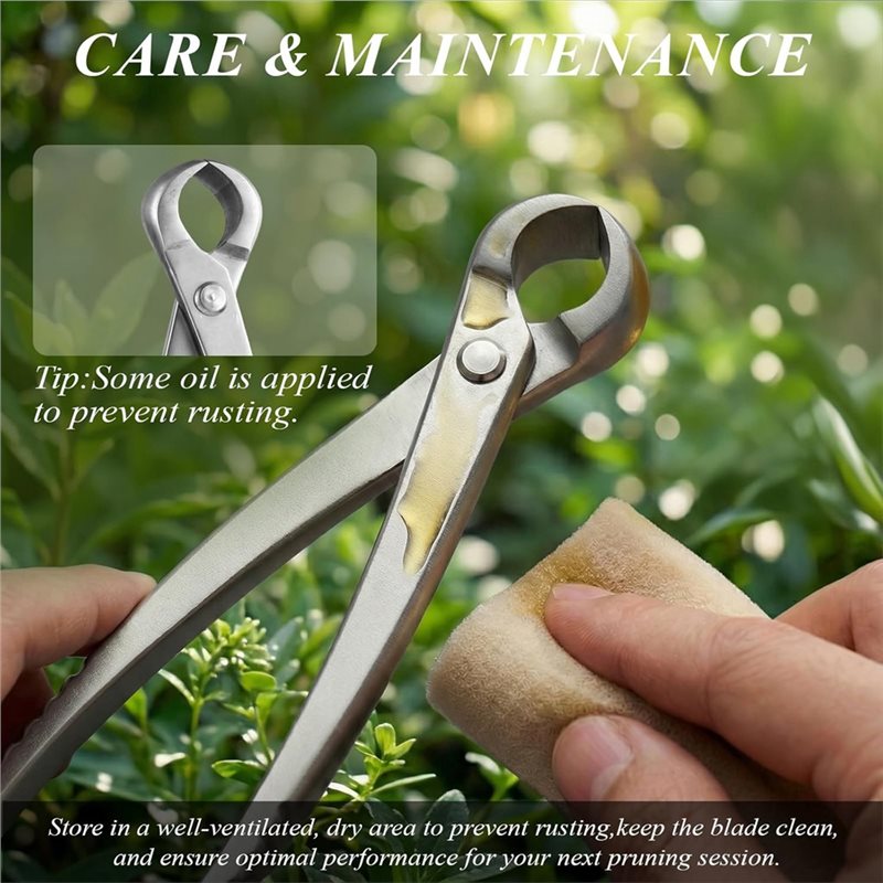 Set di Attrezzi per Bonsai AWA - Bonsai Tool Set Stainless Carbon Steel recensione e prezzo