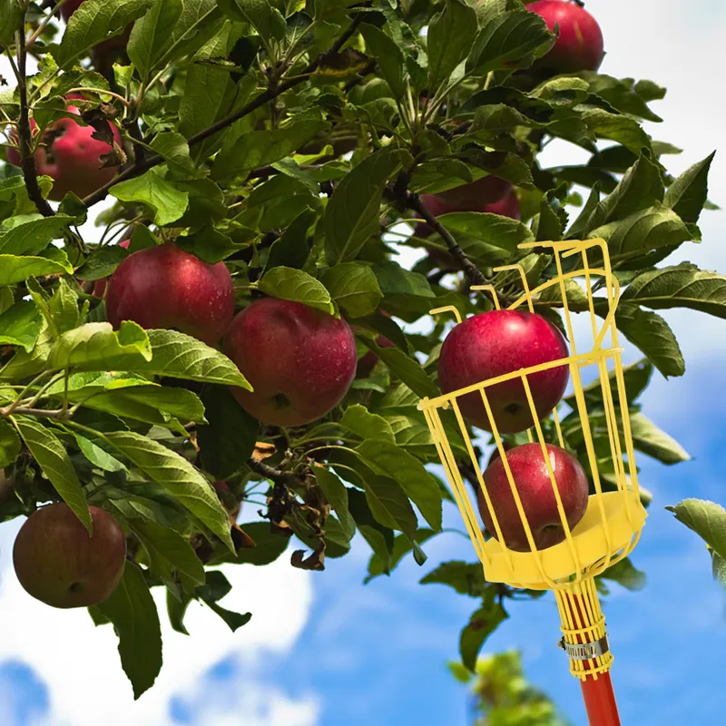 Raccogli Frutta Portatile in M - Fruit Picker Basket Telescopic Pole recensione e prezzo