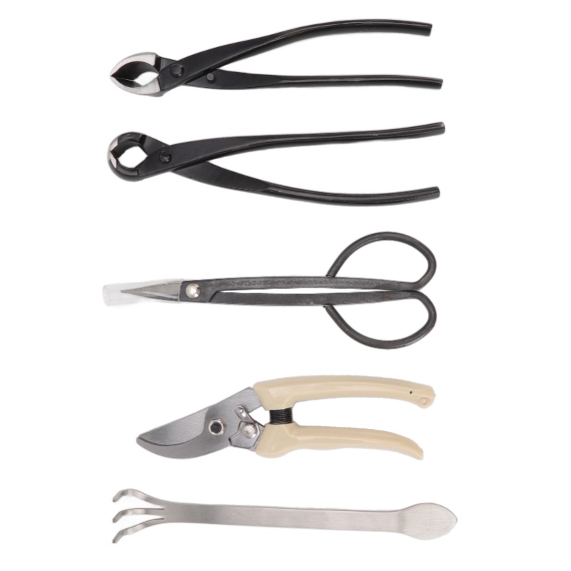 Set di 5 Attrezzi per Bonsai i - Bonsai Tool Set Stainless Carbon Steel recensione e prezzo