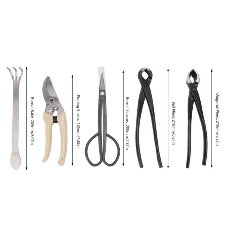 Set di 5 Attrezzi per Bonsai i - Bonsai Tool Set Stainless Carbon Steel recensione e prezzo