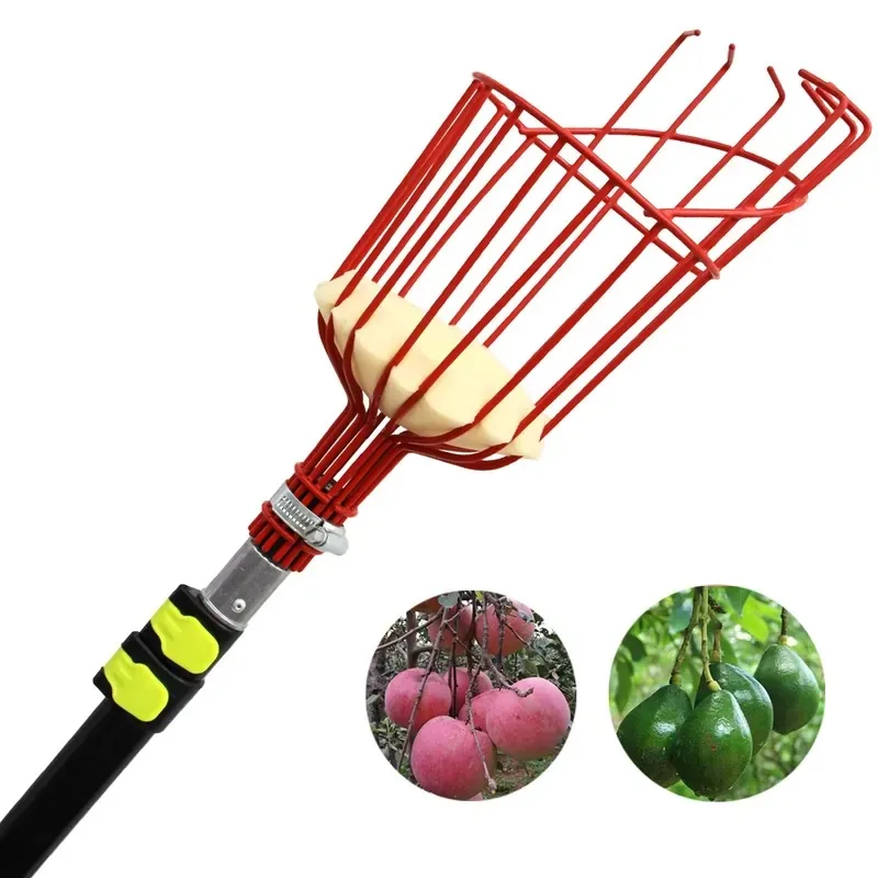 Nuovissimo Asta Telescopica 20 - Fruit Picker Basket Telescopic Pole recensione e prezzo