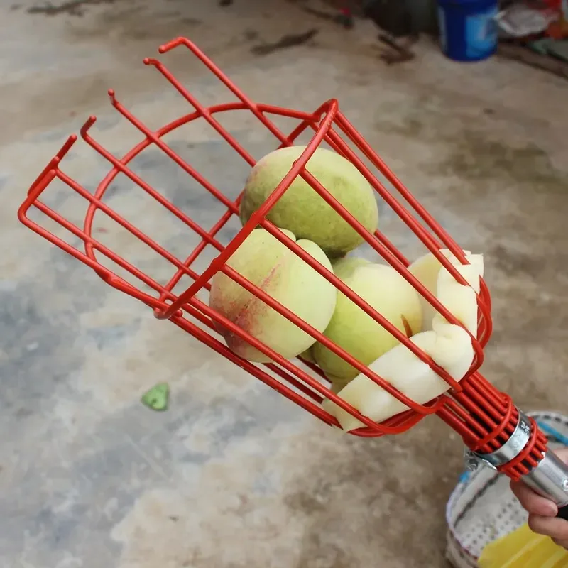 Nuovissimo Asta Telescopica 20 - Fruit Picker Basket Telescopic Pole recensione e prezzo
