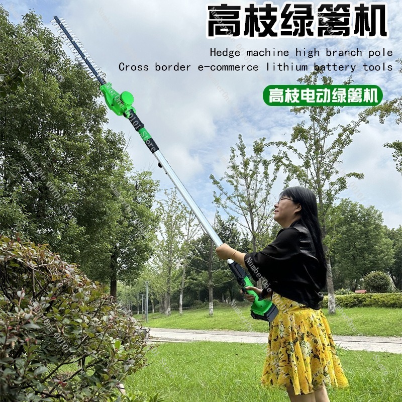 Potatore Elettrico Telescopico - Electric Pruner With Extension Pole recensione e prezzo